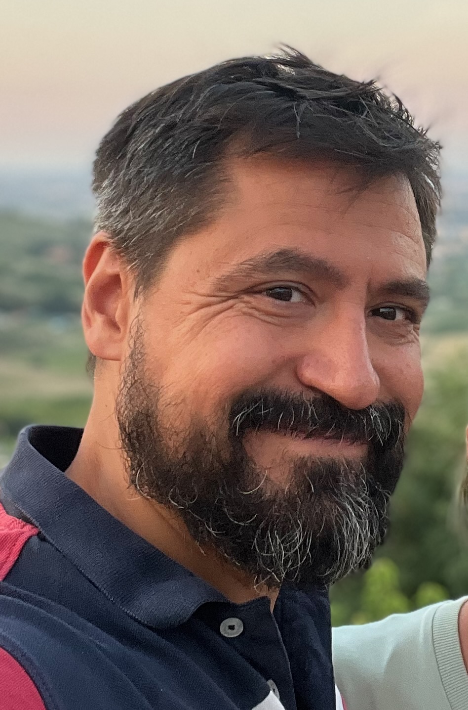Dan Marinescu